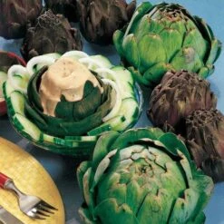 Imperial Star Artichoke Seeds (P) Pkt Of 20 Seeds -Park Seed® Shop 05006 PK P1 2