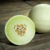 Snow Mass Melon Honeydew Seeds 1 Snow Mass Melon Honeydew Seeds -Park Seed® Shop 05071 pk p1
