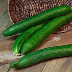 Tasty Green Hybrid Cucumber Seeds