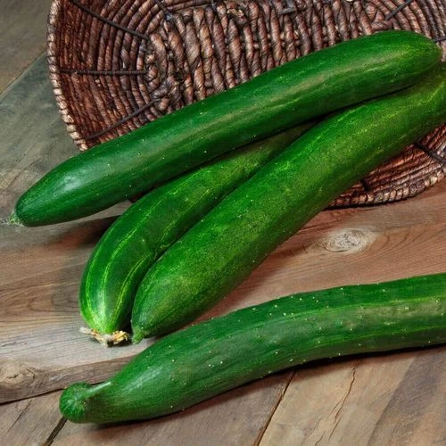 Tasty Green Hybrid Cucumber Seeds 3 Tasty Green Hybrid Cucumber Seeds
