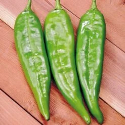 Sahuaro Hybrid Pepper Seeds