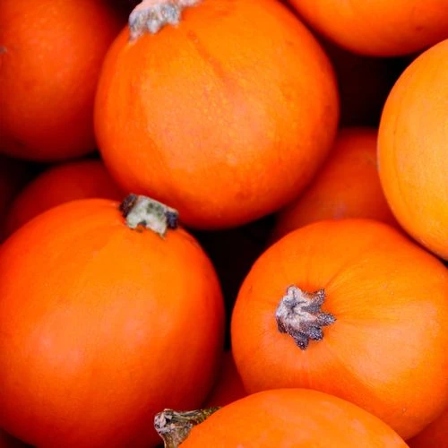 Wee-B-Little Pumpkin Seeds 4 Wee-B-Little Pumpkin Seeds - Image 2