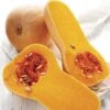 Early Butternut Hybrid Winter Squash Seeds -Park Seed® Shop 05296