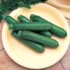 Cashflow Hybrid Squash Seeds -Park Seed® Shop 05313 PK 250