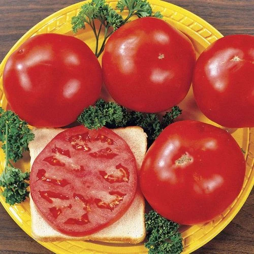 Celebrity Hybrid Tomato Seeds 4 Celebrity Hybrid Tomato Seeds - Image 2
