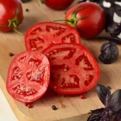 Better Bush Hybrid Tomato Seeds