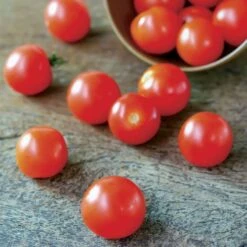 Supersweet 100 Hybrid Cherry Tomato Seeds -Park Seed® Shop 05360 2