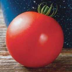 Mountain Fresh Hybrid Tomato Seeds Pack Of 250