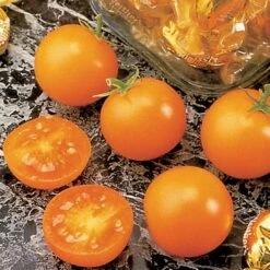 Sunsugar Hybrid Tomato Seeds