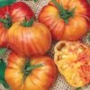 Big Rainbow Tomato Seeds (P) Pkt Of 30 Seeds 1 Big Rainbow Tomato Seeds (P) Pkt Of 30 Seeds -Park Seed® Shop 05430 pk p1