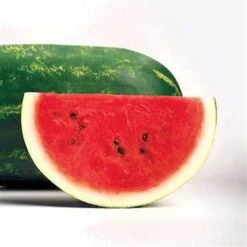 Sangria Hybrid Watermelon Seeds