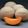 Athena Hybrid Melon Cantaloupe Seeds (P) Pkt Of 10 Seeds -Park Seed® Shop 05501 pk p1