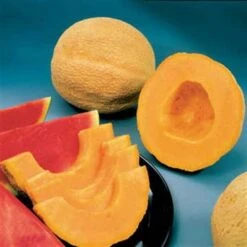 Park's Whopper Hybrid Melon Cantaloupe Seeds