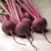 Red Ace Hybrid Beet Seeds 2 Red Ace Hybrid Beet Seeds -Park Seed® Shop 05576