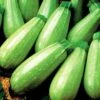 Magda Hybrid Squash Seeds -Park Seed® Shop 05784 pk p1
