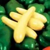 Enterprise Hybrid Squash Seeds -Park Seed® Shop 05785