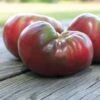 Cherokee Purple Organic Tomato Seeds (P) Pkt Of 30 Seeds