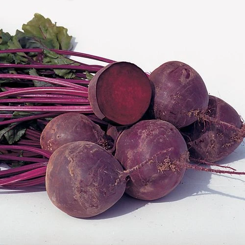 Boro Hybrid Organic Beet Seeds 3 Boro Hybrid Organic Beet Seeds