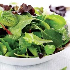Salad Bowl Mix Organic Greens Seeds (P) Pkt Of 200 Seeds