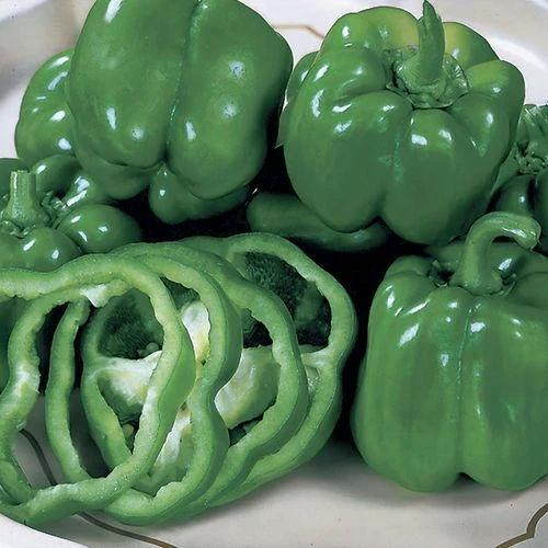 California Wonder Organic Pepper Seeds 3 California Wonder Organic Pepper Seeds