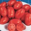 Organic Roma Tomato Seeds -Park Seed® Shop 05931 pk p1