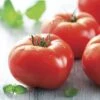 Mater Sandwich Organic Hybrid Tomato Seeds (P) Pkt Of 20 Seeds