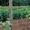 Park's Trellis Netting - 5ft X 30ft -Park Seed® Shop 06521