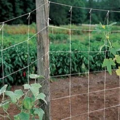 Park's Trellis Netting - 5ft X 30ft