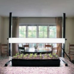 Tabletop Plant Light | 24-inch