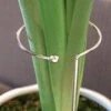 Single Silver Amaryllis Stake -Park Seed® Shop 23213