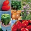 Ultimate Park Seed Veggie Pizza Garden Seed Collection -Park Seed® Shop 26249