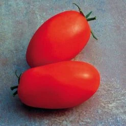 Ultimate Park Seed Veggie Pizza Garden Seed Collection -Park Seed® Shop 26249 1