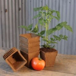 CowPots 4-inch Tall Biodegradable - Pack Of 22