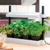 SunBlaster Micro LED Growlight Garden -Park Seed® Shop 26679