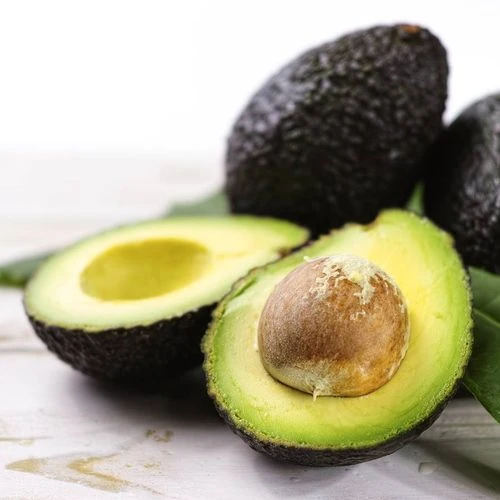 Persea Avocado 'Hass' 3 Persea Avocado 'Hass'
