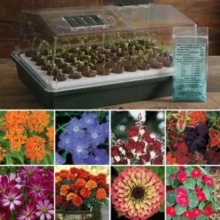 Park's Flower Seed Bio Dome Collection