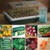 Park's Organic Seed Bio Dome Collection -Park Seed® Shop 27863