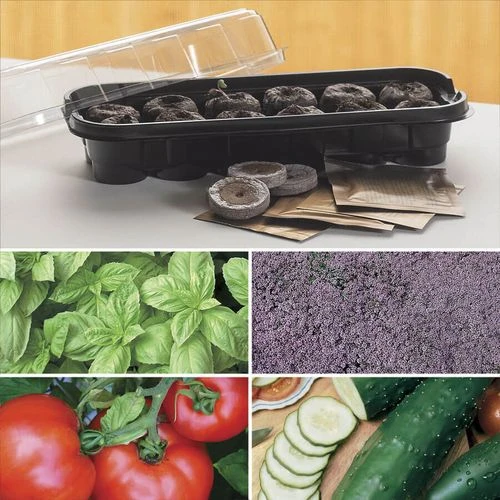 Park's Windowsill Herb & Veggie Starter Kit 3 Park's Windowsill Herb & Veggie Starter Kit