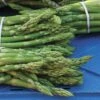 Asparagus Millenium 2 Asparagus Millenium -Park Seed® Shop 28872 PK 25