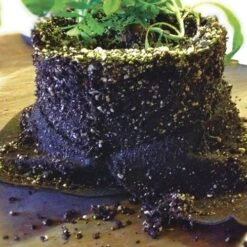 Smart Pot® Fabric Planter 1 Gallon Transplanter (Black) (3-Pack) -Park Seed® Shop 28985 PK 3 2