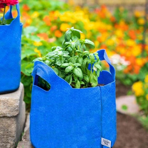 Smart Pot® W/Handles (Blue) 10-Gallon Fabric Planter 3 Smart Pot® W/Handles (Blue) 10-Gallon Fabric Planter