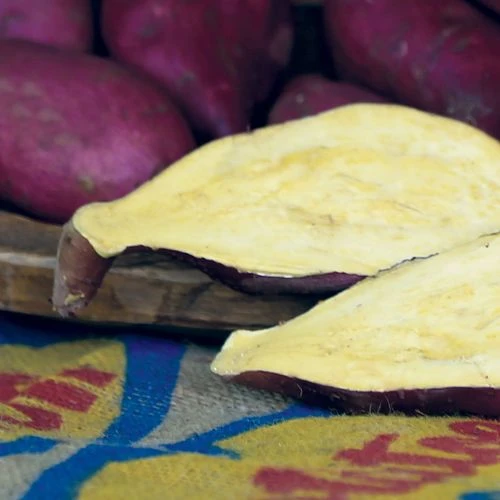 Murasaki Japanese Sweet Potato Slips 5 Murasaki Japanese Sweet Potato Slips - Image 3