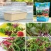 Park's Small Microgreens Collection -Park Seed® Shop 29359