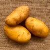 'Nicola' Potato - 2 Pound Bag -Park Seed® Shop 29532