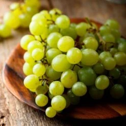 Vitis 'Niagara' White Grape 5 Vitis 'Niagara' White Grape -Park Seed® Shop 29556 PK 3 1