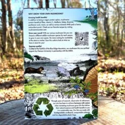 Mushroom Golden Oyster Countertop Kit 7 Mushroom Golden Oyster Countertop Kit -Park Seed® Shop 31022 2