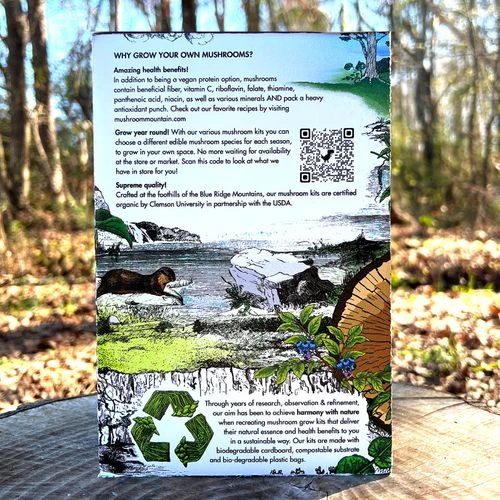 Mushroom Golden Oyster Countertop Kit 5 Mushroom Golden Oyster Countertop Kit - Image 3