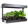 SunBlaster Self-Watering Growlight Garden -Park Seed® Shop 35576 1