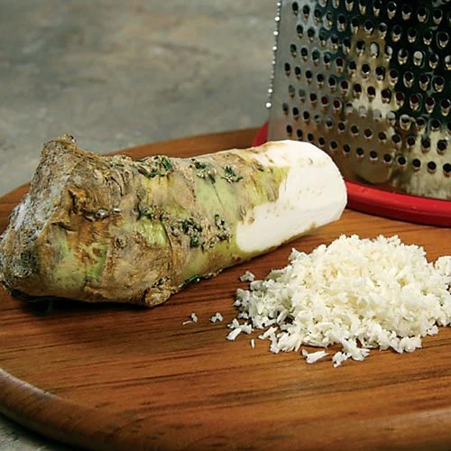 Horseradish Plant 3 Horseradish Plant