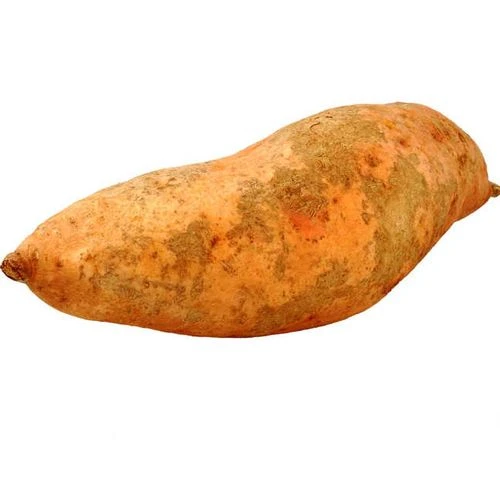 Vardaman Sweet Potato Slips 3 Vardaman Sweet Potato Slips